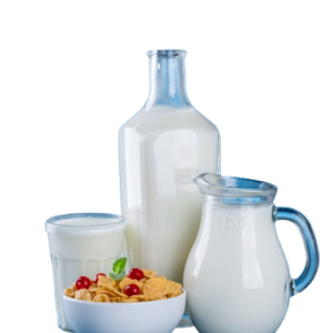 Dairy Product